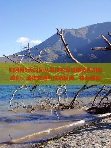 如何用5天时间从攀枝花深度游览四川青城山，解决交通与住宿痛点，体验最新网红打卡地？