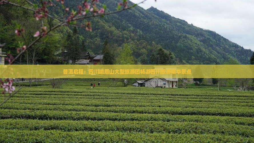 普洱启程：四川峨眉山大型旅游团畅游四川旅游精华景点