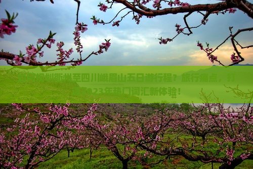 如何规划衢州至四川峨眉山五日游行程？旅行痛点，打造2023年热门词汇新体验！