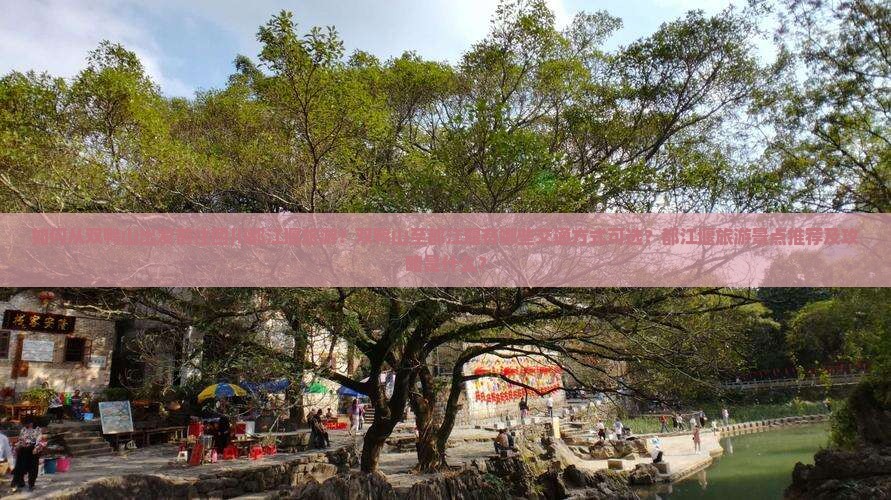 如何从双鸭山出发前往四川都江堰旅游？双鸭山至都江堰有哪些交通方式可选？都江堰旅游景点推荐及攻略是什么？