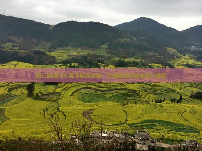 阳江到四川九寨沟旅游攻略：交通指南与景点旅行推荐