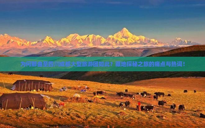 为何那曲至四川成都大型旅游团如此?藏地探秘之旅的痛点与热词! 为何那曲至四川成都大型旅游团如此?藏地探秘之旅的痛点与热词!