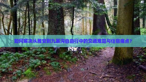 如何解决从雅安到九寨沟自由行中的交通难题与住宿痛点？