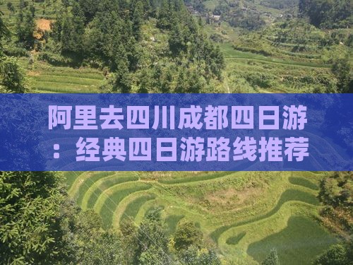 阿里去四川成都四日游：经典四日游路线推荐