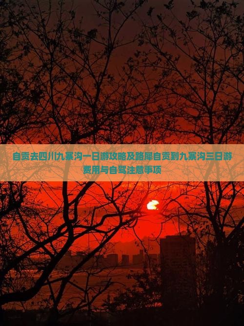 自贡去四川九寨沟一日游攻略及路犀自贡到九寨沟三日游费用与自驾注意事项