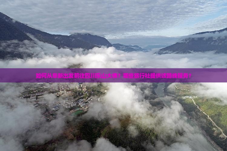 如何从阜新出发前往四川乐山大佛？哪些旅行社提供该路线服务？