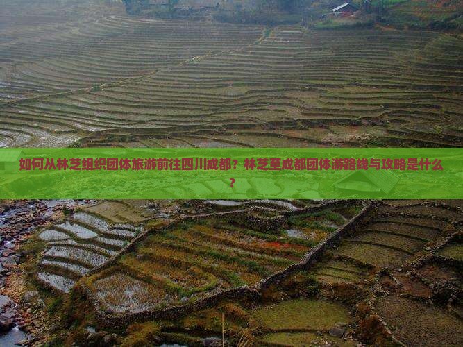 如何从林芝组织团体旅游前往四川成都？林芝至成都团体游路线与攻略是什么？
