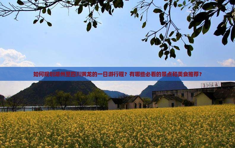 如何规划湖州至四川黄龙的一日游行程？有哪些必看的景点和美食推荐？