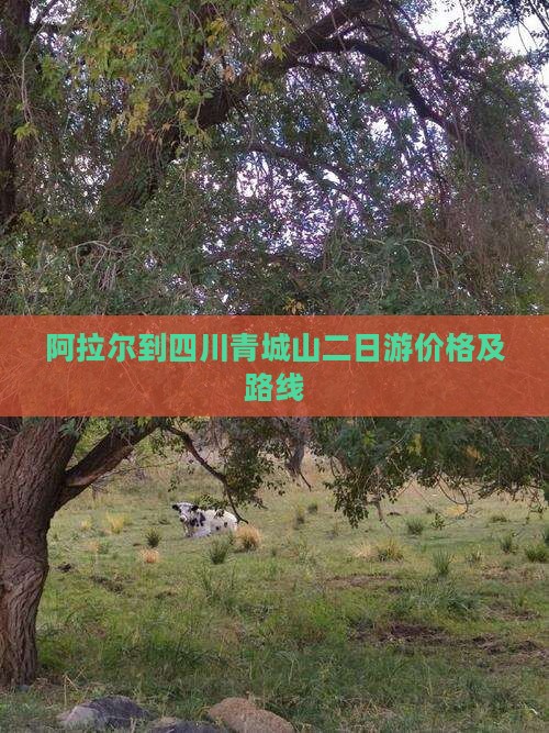 阿拉尔到四川青城山二日游价格及路线