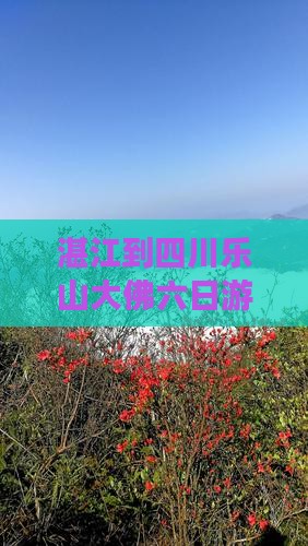 湛江到四川乐山大佛六日游价格及路线