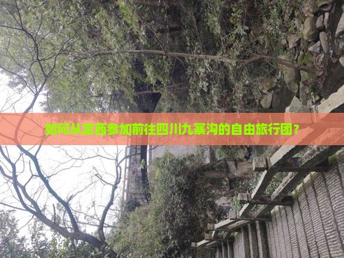 如何从定西参加前往四川九寨沟的自由旅行团？