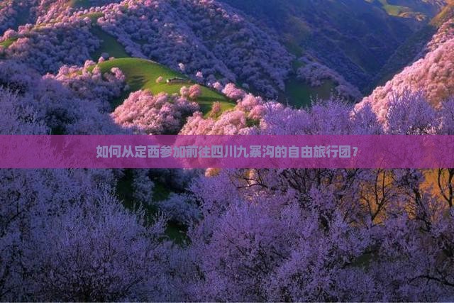 如何从定西参加前往四川九寨沟的自由旅行团？