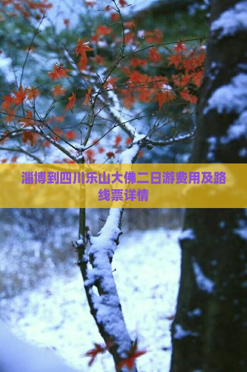 淄博到四川乐山大佛二日游费用及路线票详情
