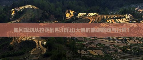 如何规划从拉萨到四川乐山大佛的旅游路线与行程？