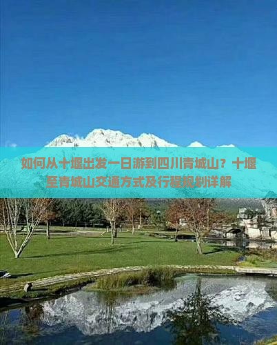 如何从十堰出发一日游到四川青城山？十堰至青城山交通方式及行程规划详解