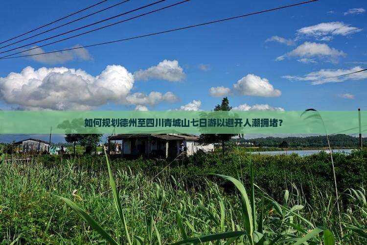 如何规划德州至四川青城山七日游以避开人潮拥堵？