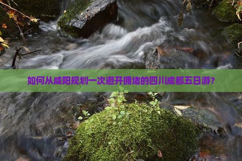 如何从咸阳规划一次避开拥堵的四川成都五日游？