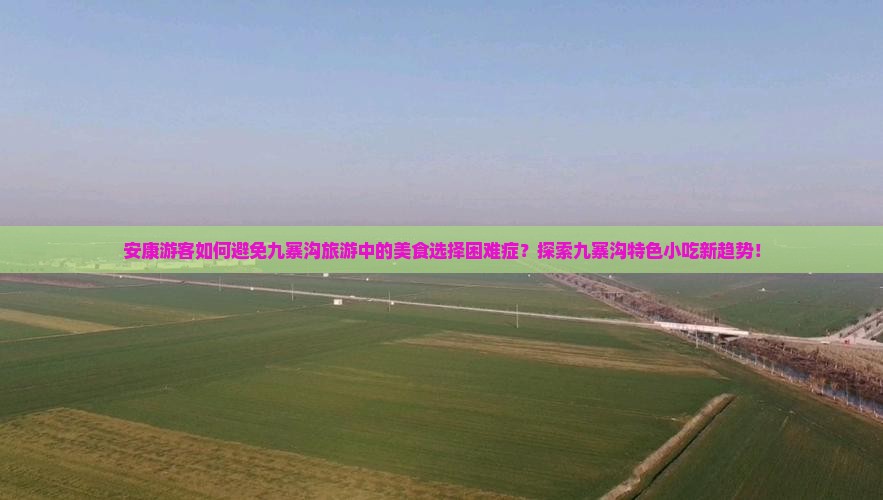 安康游客如何避免九寨沟旅游中的美食选择困难症？探索九寨沟特色小吃新趋势！