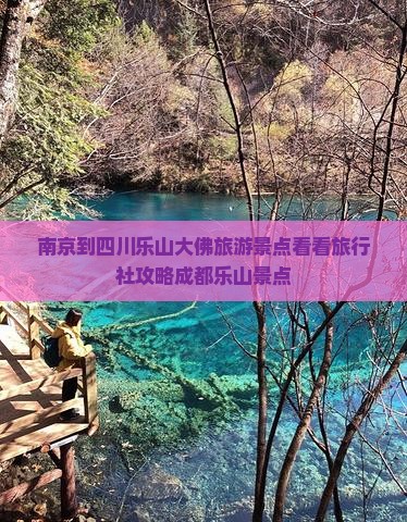 南京到四川乐山大佛旅游景点看看旅行社攻略成都乐山景点