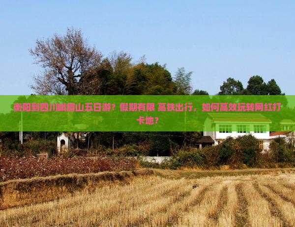 衡阳到四川峨眉山五日游？假期有限+高铁出行，如何高效玩转网红打卡地？