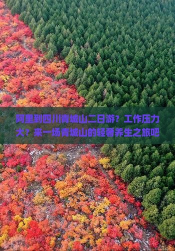 阿里到四川青城山二日游？工作压力大？来一场青城山的轻奢养生之旅吧！