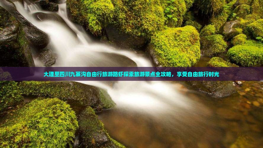 大理至四川九寨沟自由行旅游路虾探索旅游景点全攻略，享受自由旅行时光