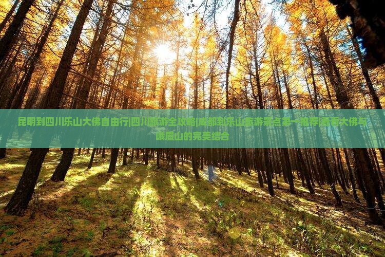昆明到四川乐山大佛自由行|四川旅游全攻略|成都到乐山旅游景点第一推荐|看看大佛与峨眉山的完美结合