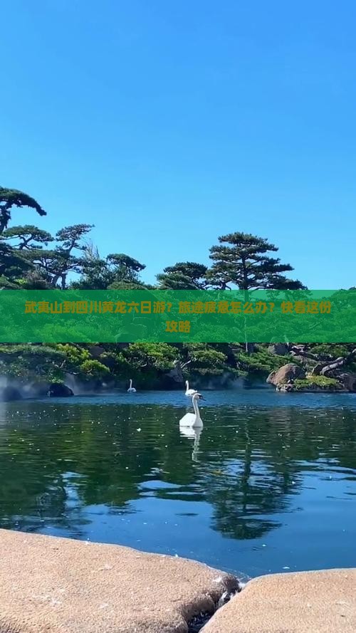 武夷山到四川黄龙六日游？旅途疲惫怎么办？快看这份攻略