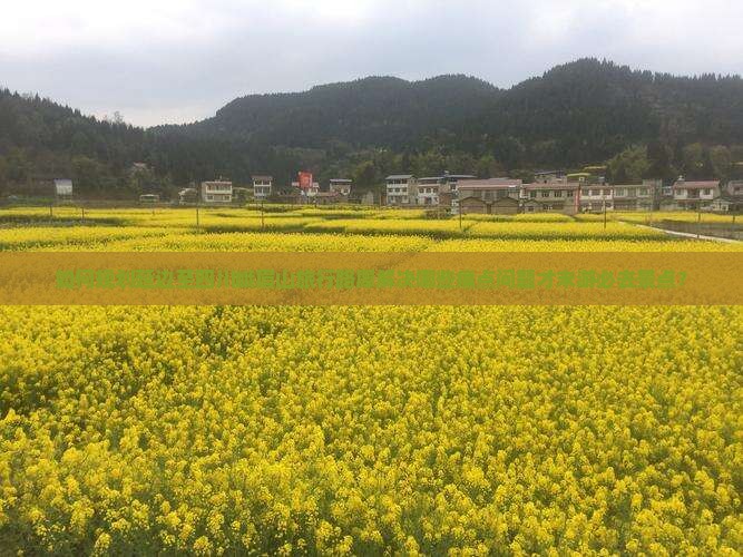 如何规划延边至四川峨眉山旅行路犀解决哪些痛点问题才末游必去景点？