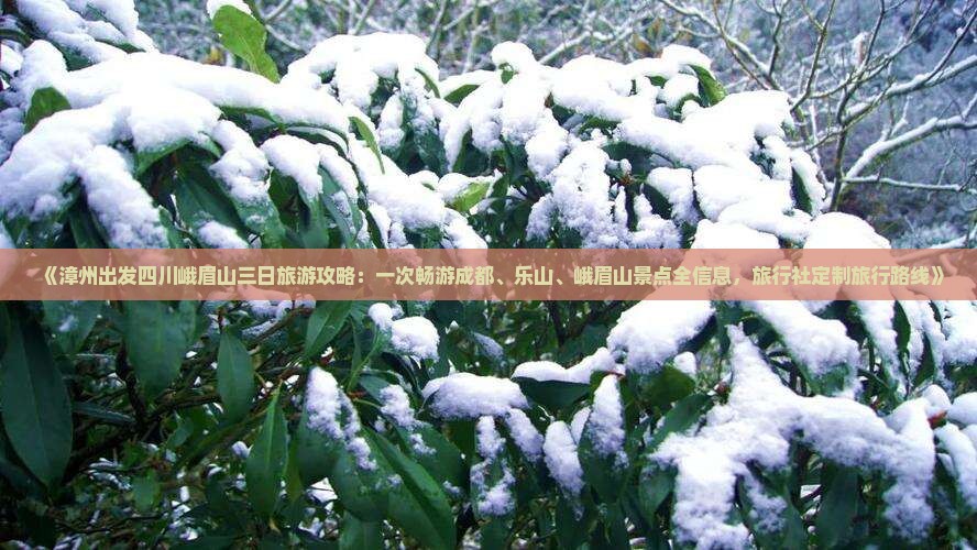 《漳州出发四川峨眉山三日旅游攻略：一次畅游成都、乐山、峨眉山景点全信息，旅行社定制旅行路线》