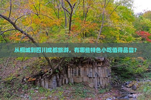 从桐城到四川成都旅游，有哪些特色小吃值得品尝？