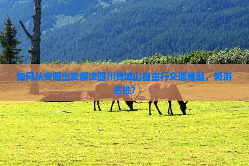 如何从安阳出发解决四川青城山自由行交通难题，畅游名胜？