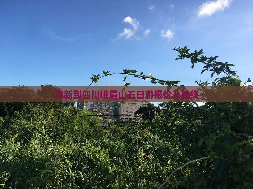 阜新到四川峨眉山五日游报价及路线