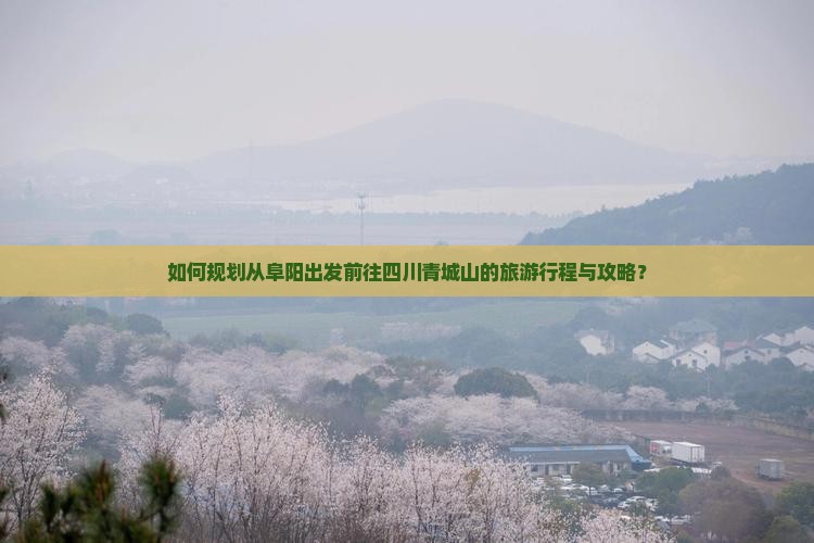 如何规划从阜阳出发前往四川青城山的旅游行程与攻略？