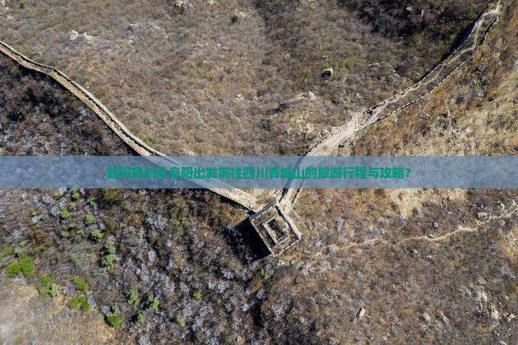 如何规划从阜阳出发前往四川青城山的旅游行程与攻略？