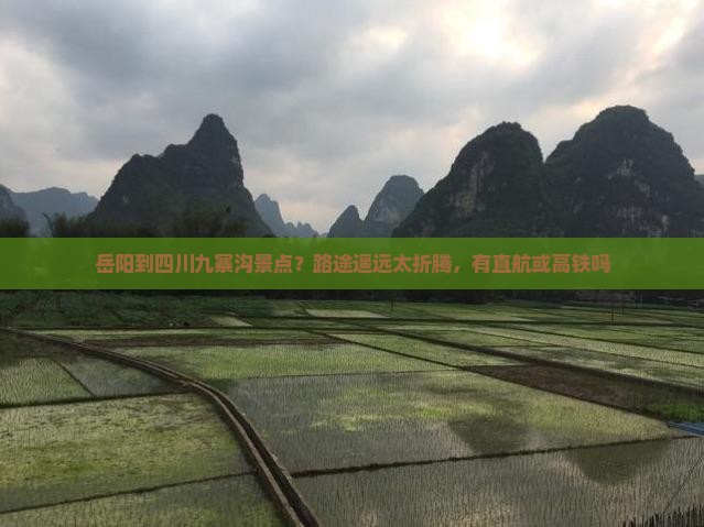 岳阳到四川九寨沟景点？路途遥远太折腾，有直航或高铁吗