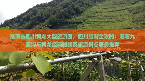 淮南去四川黄龙大型旅游团，四川旅游全攻略：看看九寨沟与黄龙经典路线及旅游景点服务推荐