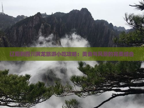 辽阳到四川黄龙旅游小吃攻略：美食与风景的完美结合