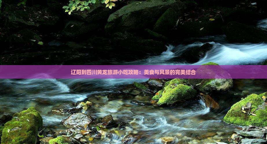 辽阳到四川黄龙旅游小吃攻略：美食与风景的完美结合