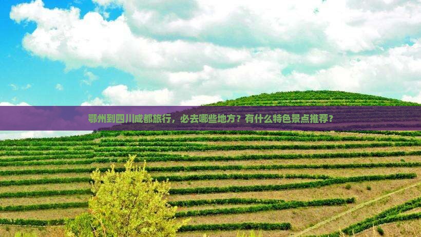 鄂州到四川成都旅行，必去哪些地方？有什么特色景点推荐？