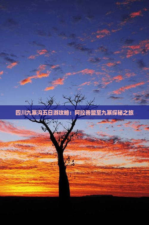 四川九寨沟五日游攻略：阿拉善盟至九寨探秘之旅