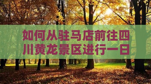 如何从驻马店前往四川黄龙景区进行一日游？