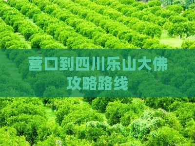 营口到四川乐山大佛攻略路线