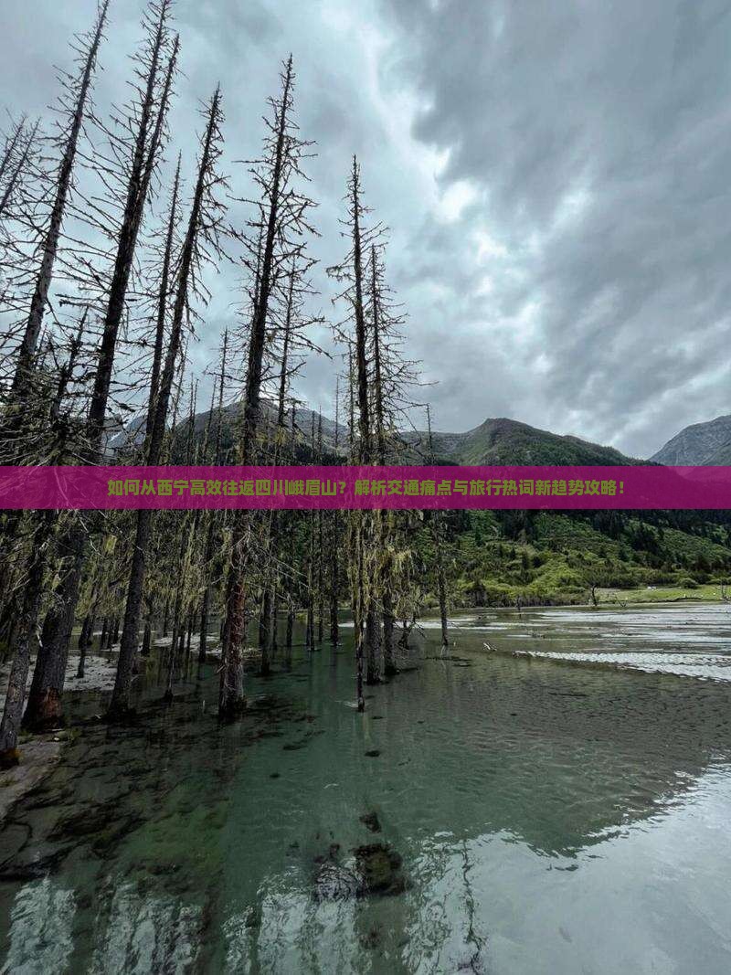 如何从西宁高效往返四川峨眉山？解析交通痛点与旅行热词新趋势攻略！