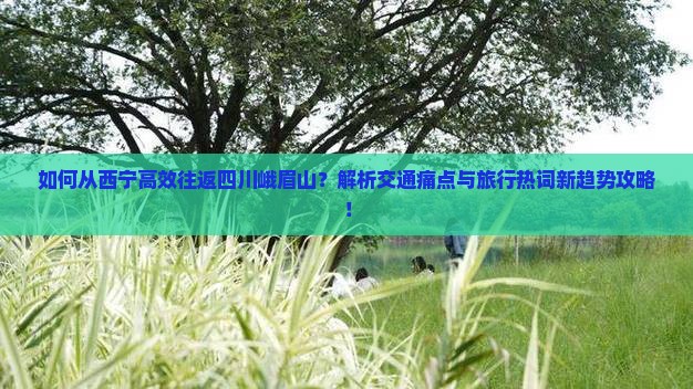 如何从西宁高效往返四川峨眉山？解析交通痛点与旅行热词新趋势攻略！