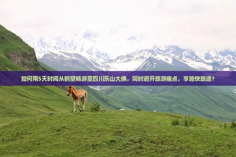 如何用5天时间从鹤壁畅游至四川乐山大佛，同时避开旅游痛点，享施快旅途？