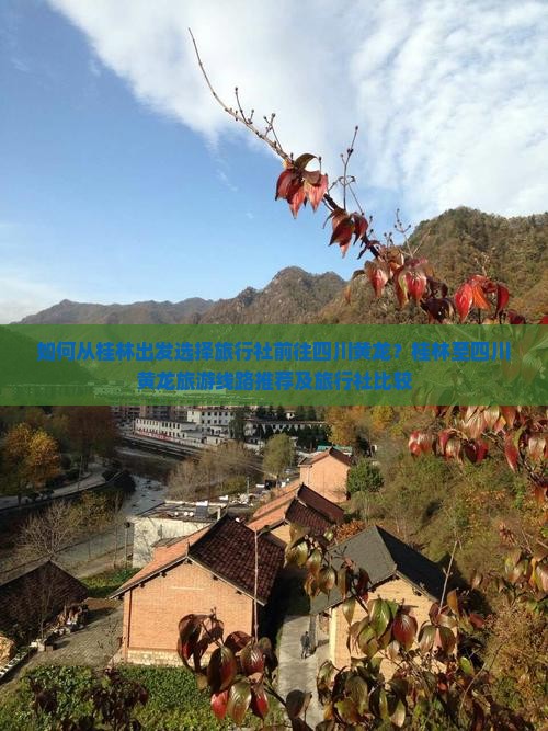 如何从桂林出发选择旅行社前往四川黄龙？桂林至四川黄龙旅游线路推荐及旅行社比较