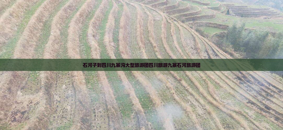 石河子到四川九寨沟大型旅游团四川旅游九寨石河旅游团