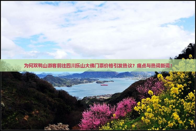 为何双鸭山游客前往四川乐山大佛门票价格引发热议？痛点与热词新词！