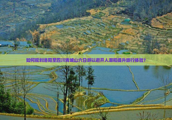 如何规划洛阳至四川青城山六日游以避开人潮和提升旅行体验？